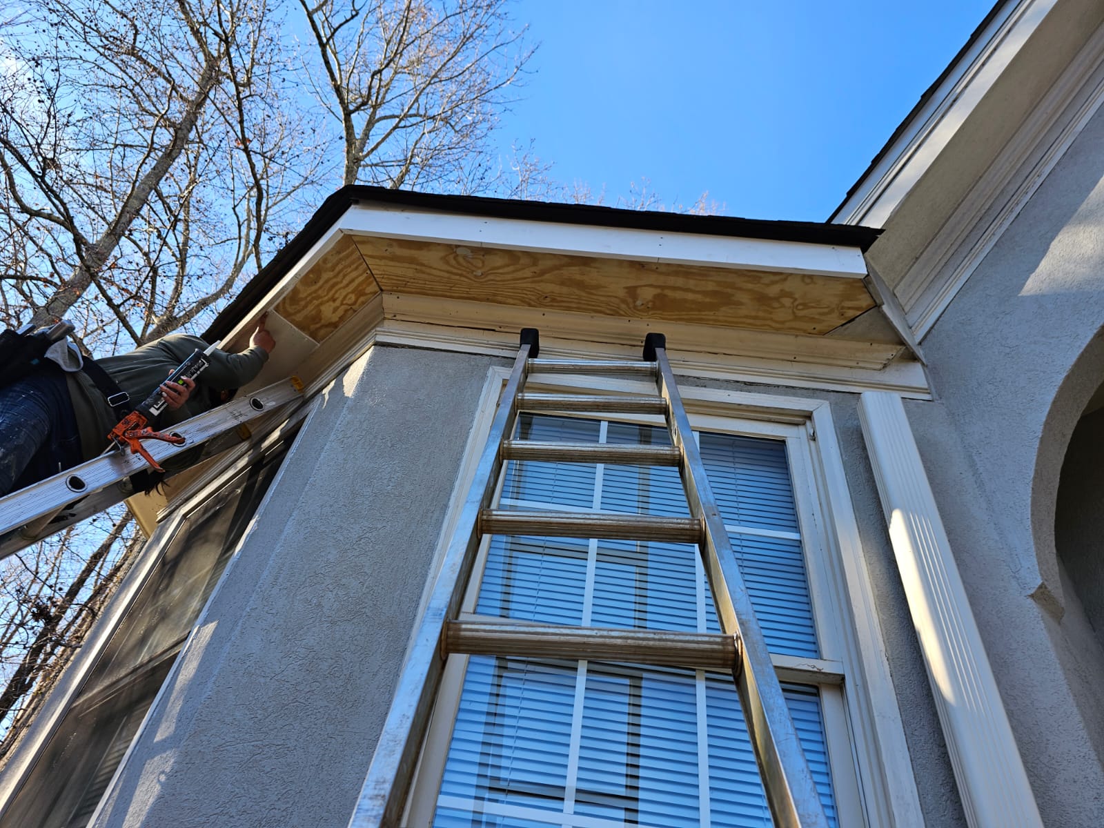 Restoration Services